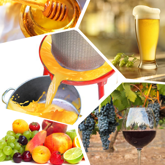 Hydraulic Fruit Wine Apple Press 5.3Gallon/20L -Stainless Steel for Wine Cider Making