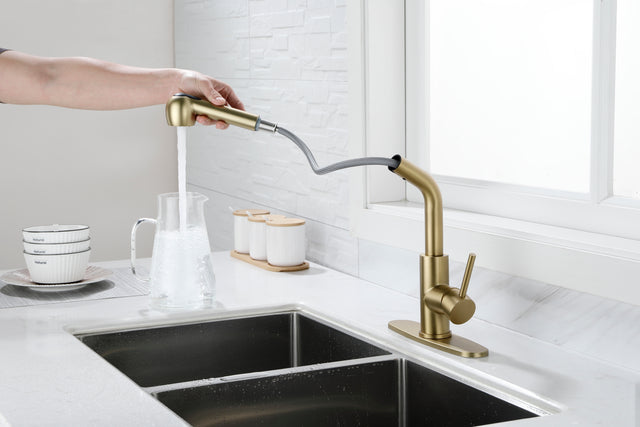 Utility Sink Faucets Single-Handle Pull-Out Laundry Faucet with Dual Spray Function in Stainless Spot Resistant Gold