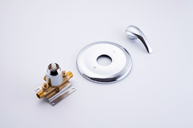 6 In. 6-Spray Balancing Shower Head Shower Faucet