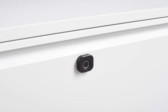 Biometric Fingerprint Lateral File Cabinet, Large Drawer Metal Filing Cabinet with Hanging Rod for letter, A4, documents and so on, for Home Office using, Assembly Required