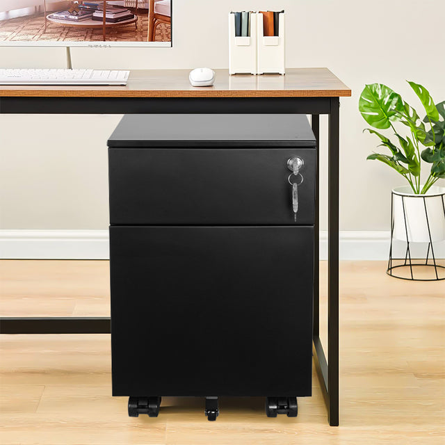 2 Drawer Mobile File Cabinet with Lock Metal Filing Cabinet for Legal/Letter/A4/F4 Size, Fully Assembled Include Wheels, Home/Office Design,Black