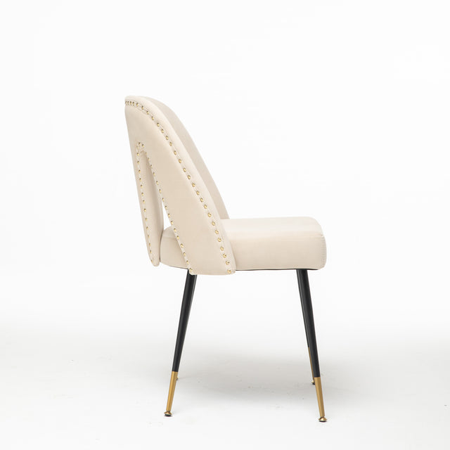 A&A Furniture,Akoya Collection Modern | Contemporary Velvet Upholstered Dining Chair with Nailheads and Gold Tipped Black Metal Legs, Beige, Set of 2