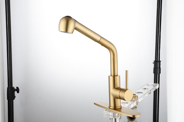 Utility Sink Faucets Single-Handle Pull-Out Laundry Faucet with Dual Spray Function in Stainless Spot Resistant Gold