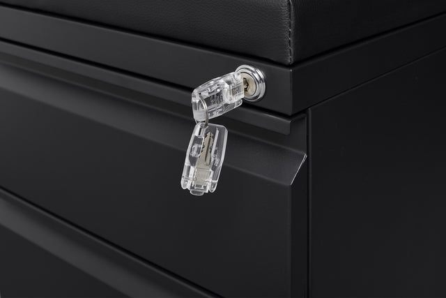 Mobile File Cabinet 2-Drawer Pedestal with Lock for Storage Use for Home Office and Business Enterprise,Legal/Letter Size Black,With 5 Wheels,with Leather cushion