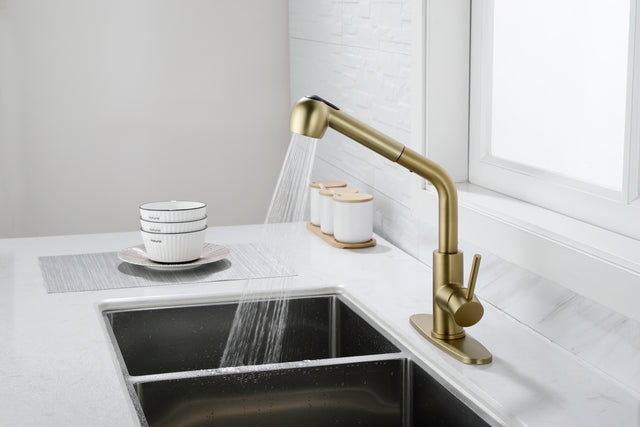 Utility Sink Faucets Single-Handle Pull-Out Laundry Faucet with Dual Spray Function in Stainless Spot Resistant Gold