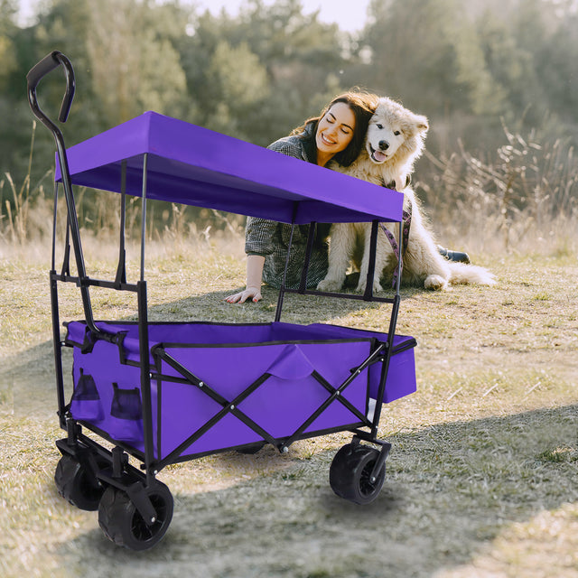 Outdoor Garden Park Utility kids wagon portable beach trolley cart camping foldable folding wagon