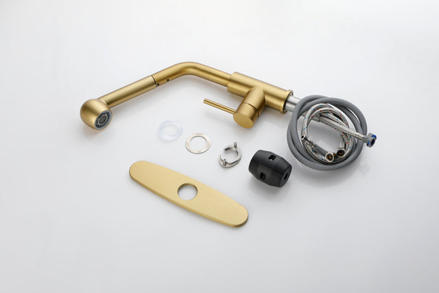 Utility Sink Faucets Single-Handle Pull-Out Laundry Faucet with Dual Spray Function in Stainless Spot Resistant Gold