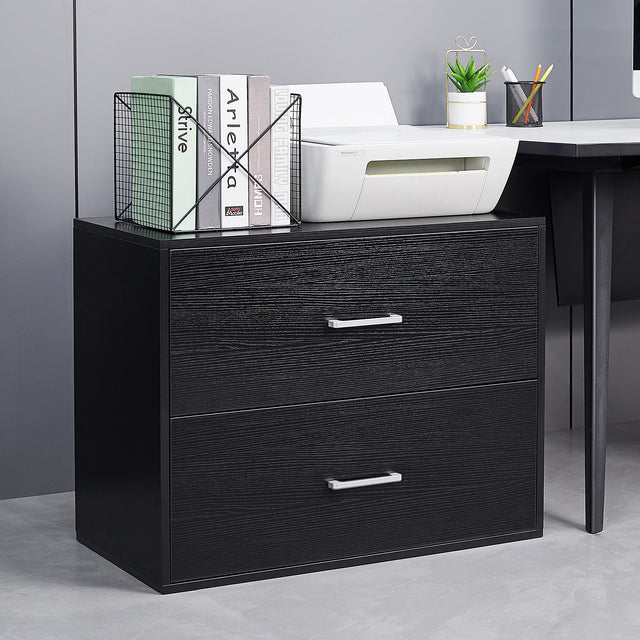 FILE BOOKCASE CABINET WITH 2 DRAWER