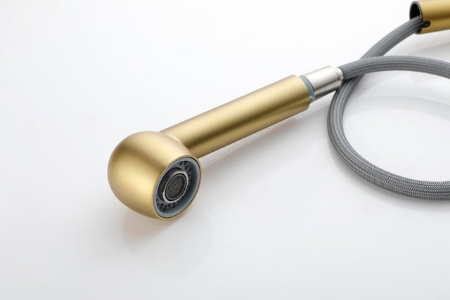 Utility Sink Faucets Single-Handle Pull-Out Laundry Faucet with Dual Spray Function in Stainless Spot Resistant Gold