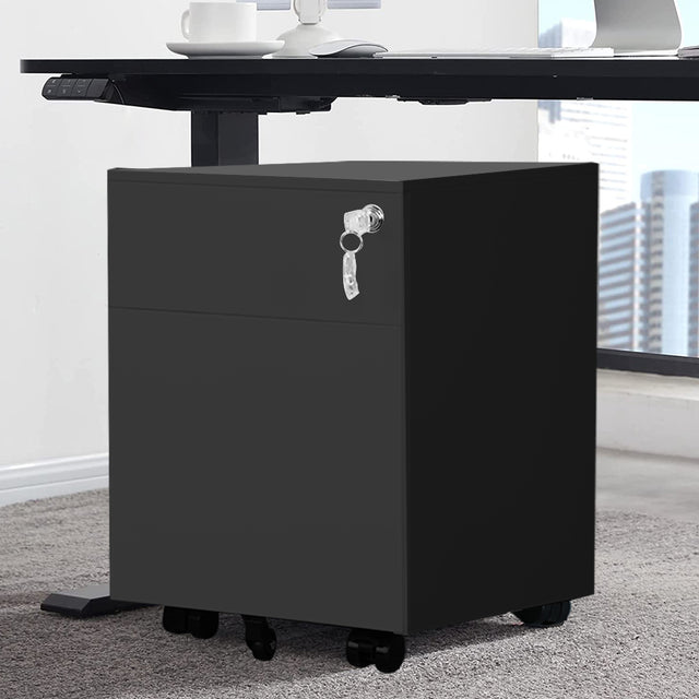 2 Drawer Mobile File Cabinet with Lock Metal Filing Cabinet for Legal/Letter/A4/F4 Size, Fully Assembled Include Wheels, Home/Office Design,Black