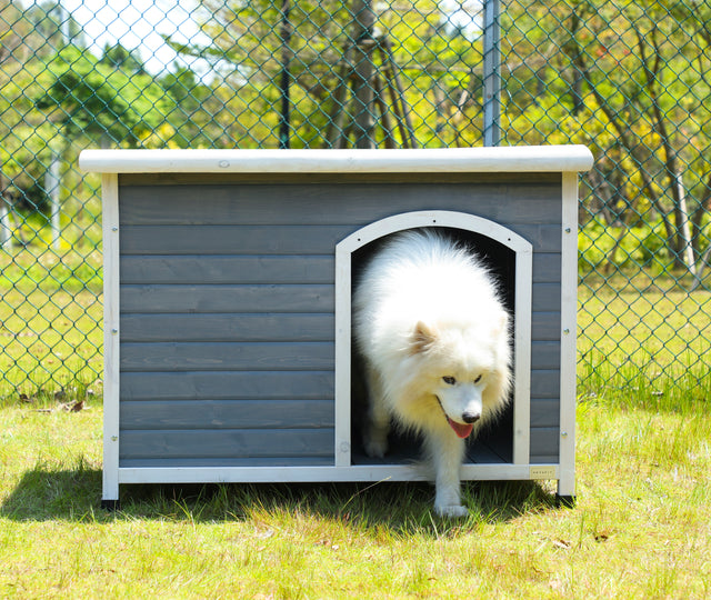Wooden Dog Houses Weatherproof for Large Dog