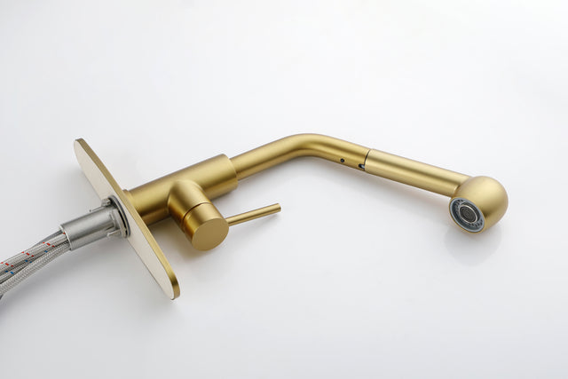 Utility Sink Faucets Single-Handle Pull-Out Laundry Faucet with Dual Spray Function in Stainless Spot Resistant Gold