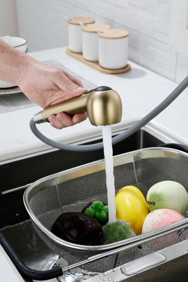 Utility Sink Faucets Single-Handle Pull-Out Laundry Faucet with Dual Spray Function in Stainless Spot Resistant Gold