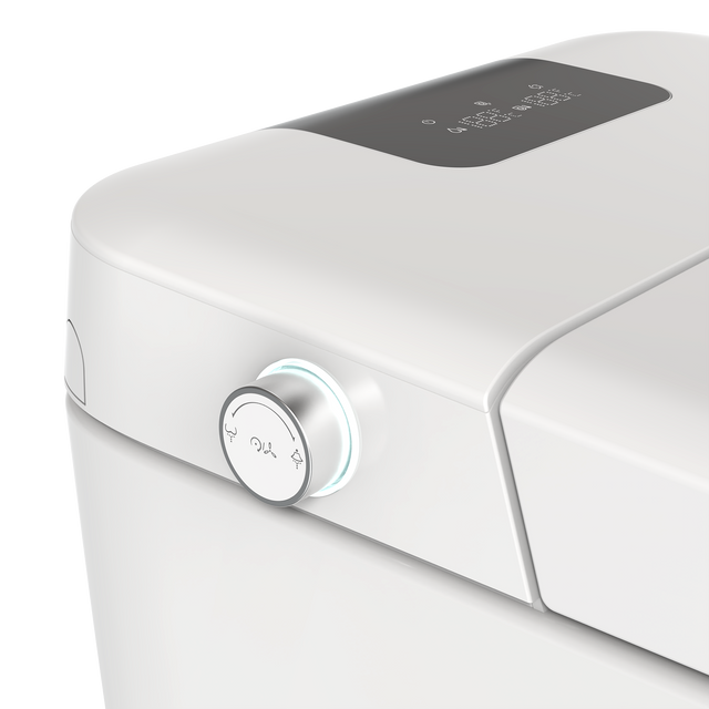 Smart Toilet U-Shaped LED Light Automatic Flush with Remote Control/Foot Sensor/Night Light T162A