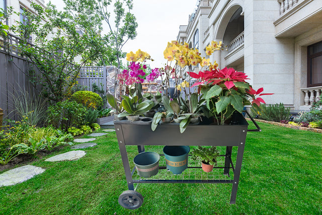 Aveyas Mobile Metal Raised Garden Bed Cart with Legs, Elevated Tall Planter Box with Wheels for Outdoor Indoors House Patio Backyard Vegetables Tomato DIY Herb Grow (Black)