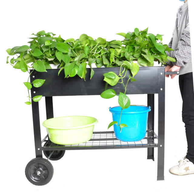 Aveyas Mobile Metal Raised Garden Bed Cart with Legs, Elevated Tall Planter Box with Wheels for Outdoor Indoors House Patio Backyard Vegetables Tomato DIY Herb Grow (Black)