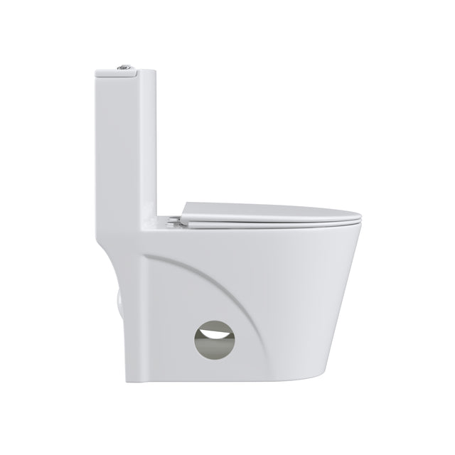 Dual Flush Elongated Standard One Piece Toilet with Comfortable Seat Height, Soft Close Seat Cover, High-Efficiency Supply, and White Finish Toilet Bowl (White Toilet)