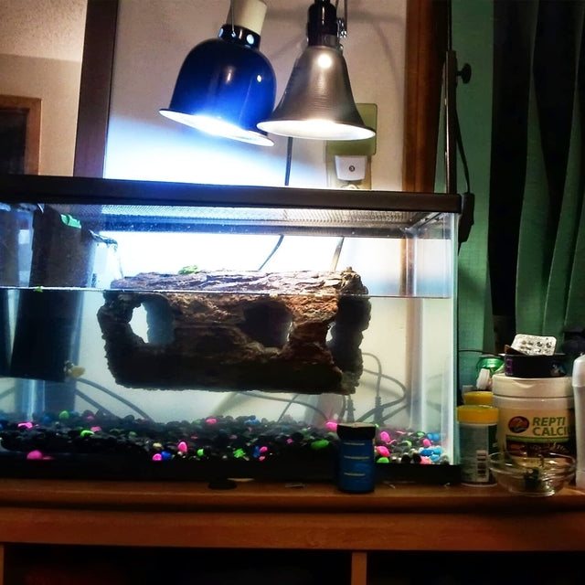 Simple Deluxe HIWKLTCLAMPLIGHTSX12 12-Pack Clamp Lamp Light with 5.5 Inch Aluminum Reflector up to 60 Watt E26/E27 (no Bulb Included) 6 Feet 18/2 SPT-2 Cord, Silver