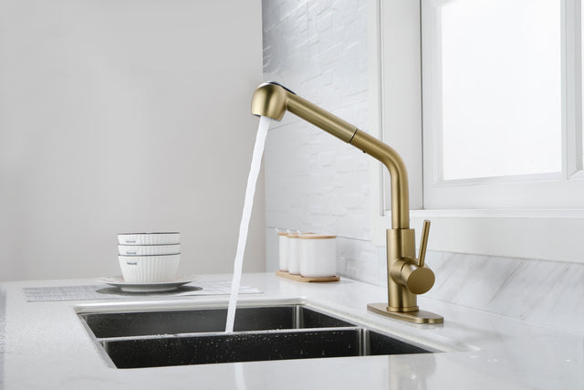 Utility Sink Faucets Single-Handle Pull-Out Laundry Faucet with Dual Spray Function in Stainless Spot Resistant Gold