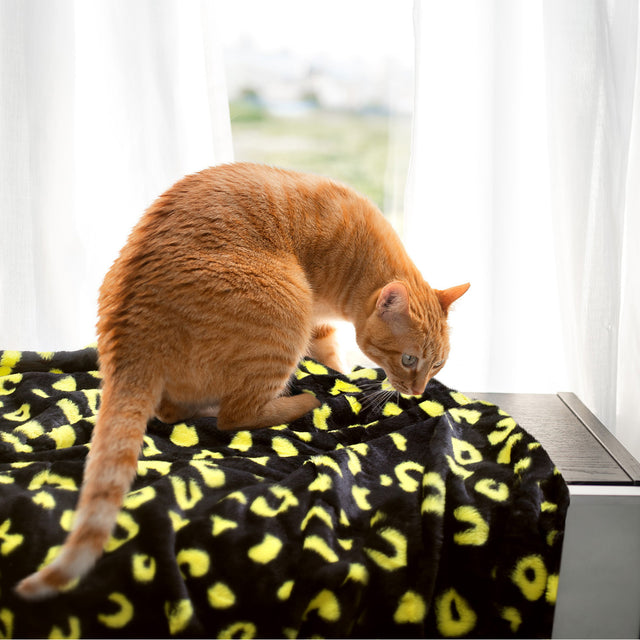 Printed Faux Rabbit Fur Throw, Lightweight Plush Cozy Soft Blanket, 60"x70" Black Leopard