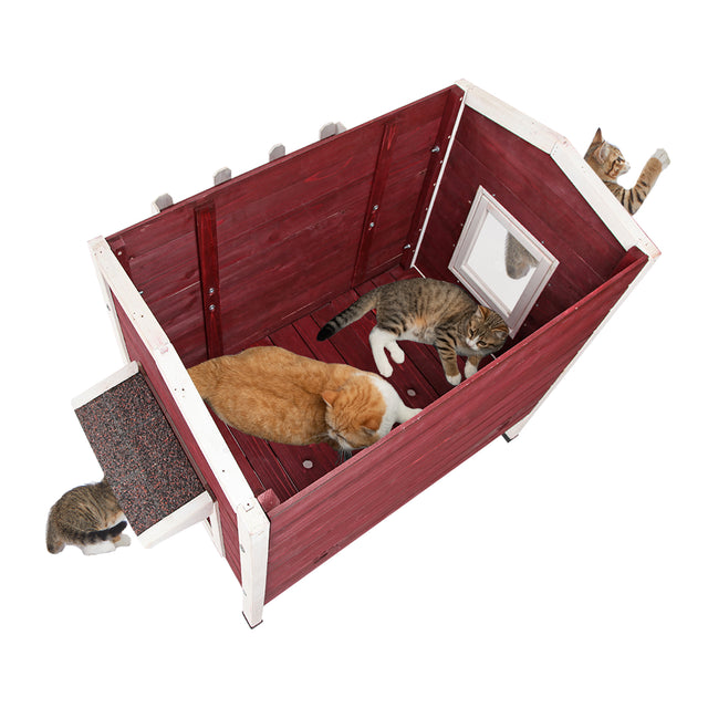 Feral Cat House, Larger Design for 3 Adult Outdoor Cats Weatherproof