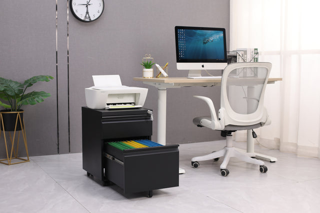 Mobile File Cabinet 2-Drawer Pedestal with Lock for Storage Use for Home Office and Business Enterprise,Legal/Letter Size Black,With 5 Wheels,with Leather cushion