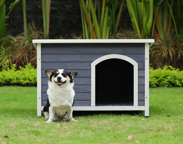 Outdoor Wooden Dog House with Hinges,Raised Feet,Openable Asphalt Roof&Removable Floor