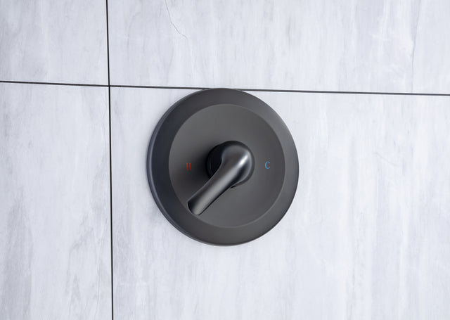 6 In. 6-Spray Balancing Shower Head Shower Faucet