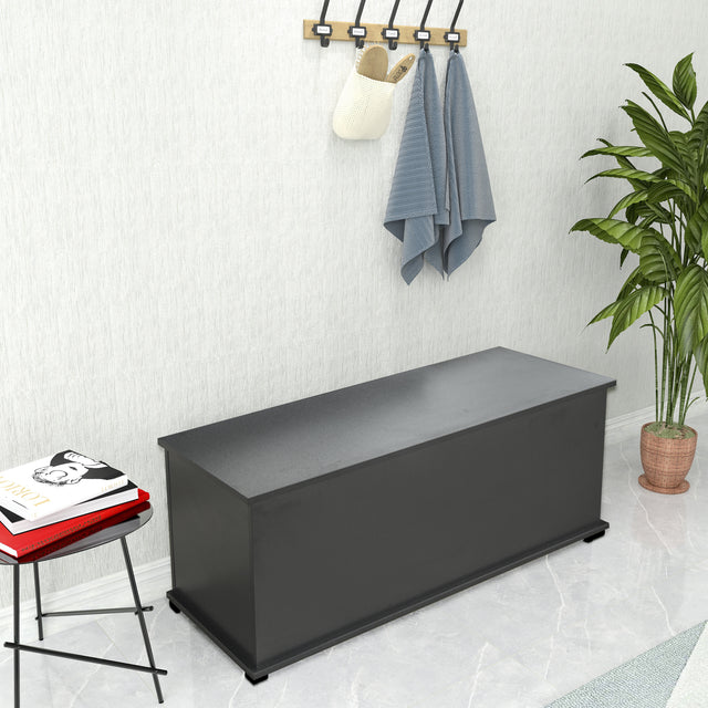 Storage Chest Trunk, Lift Top Wood Box for Toys Entryway Bench Organizer Home Furniture, Black