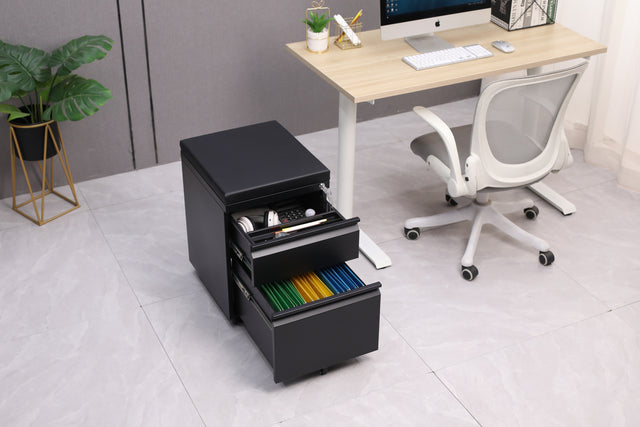 Mobile File Cabinet 2-Drawer Pedestal with Lock for Storage Use for Home Office and Business Enterprise,Legal/Letter Size Black,With 5 Wheels,with Leather cushion