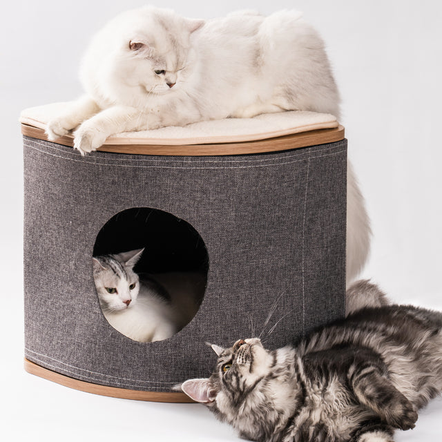 Cat House Cat Bed for Cats, Wooden Corner Cat House Cave with 2 Washable Cushions
