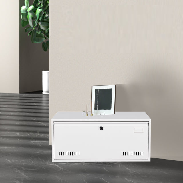 Biometric Fingerprint Lateral File Cabinet, Large Drawer Metal Filing Cabinet with Hanging Rod for letter, A4, documents and so on, for Home Office using, Assembly Required