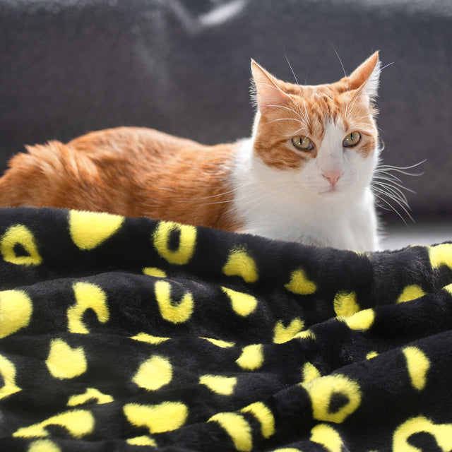 Printed Faux Rabbit Fur Throw, Lightweight Plush Cozy Soft Blanket, 60"x70" Black Leopard (2 Pack Set of 2)