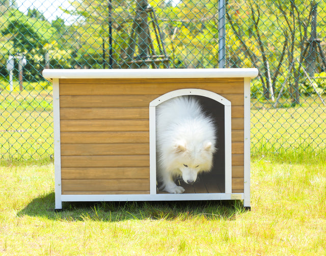 Wooden Dog Houses Weatherproof for Small Dog Medium Dog Large Dogs Outdoor Dog Kennel with Raised Feet