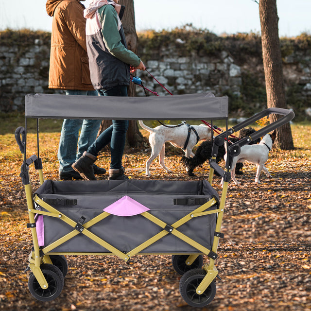 Push & Pull Utility Folding Wagon with Removable Canopy