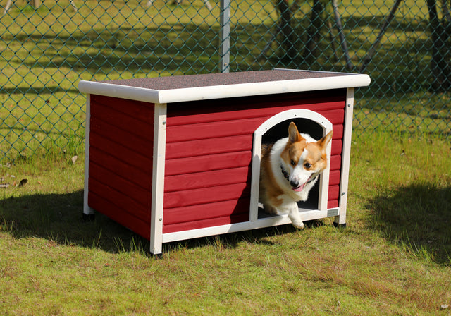 Wooden Dog Houses Weatherproof for Medium Dog