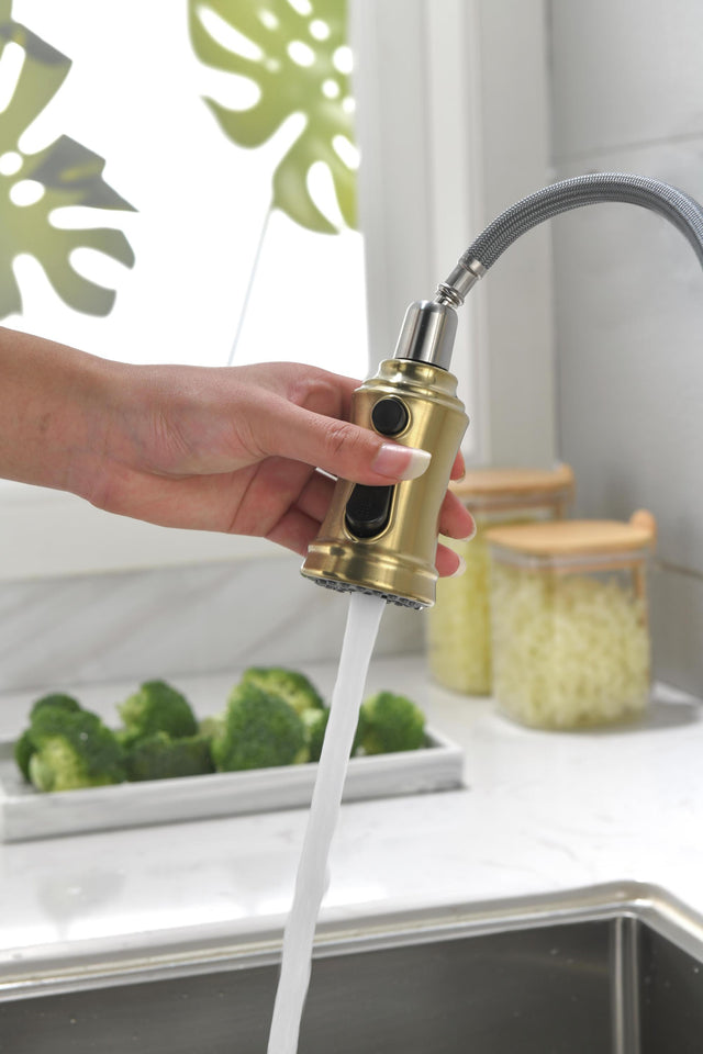 Single Handle High Arc Pull Out Kitchen Faucet,Single Level Stainless Steel Kitchen Sink Faucets with Pull Down Sprayer
