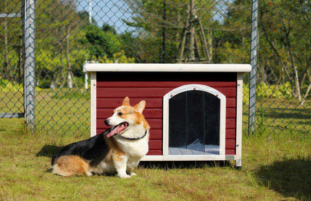 Wooden Dog Houses Weatherproof for Medium Dog