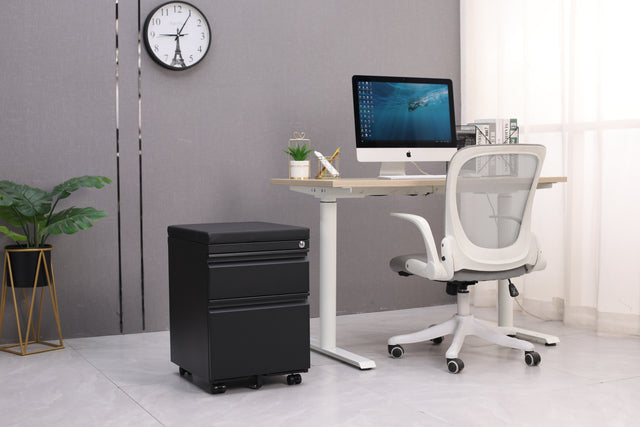 Mobile File Cabinet 2-Drawer Pedestal with Lock for Storage Use for Home Office and Business Enterprise,Legal/Letter Size Black,With 5 Wheels,with Leather cushion
