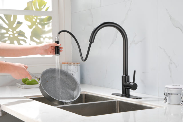Kitchen Faucet with Pull Down Sprayer