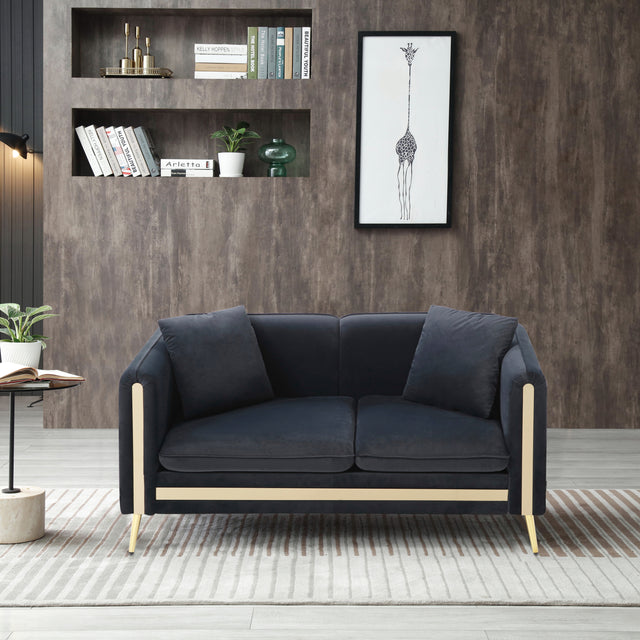 59” Modern Upholstered Velvet Loveseat Sofa 2 Seater Couch with Removable Cushions Side Pocket Mid-Century Tufted Living Room Set Gold Metal Legs ,2 Pillows Included,Black