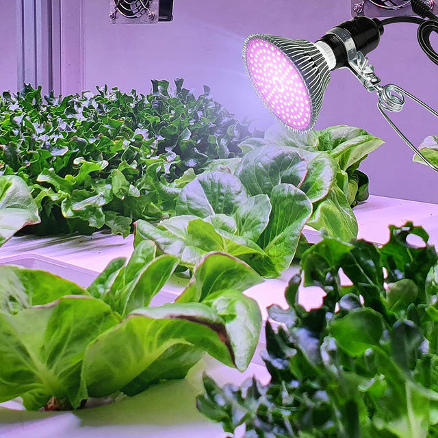 Simple Deluxe HIWKLTCLAMPLIGHTSX12 12-Pack Clamp Lamp Light with 5.5 Inch Aluminum Reflector up to 60 Watt E26/E27 (no Bulb Included) 6 Feet 18/2 SPT-2 Cord, Silver