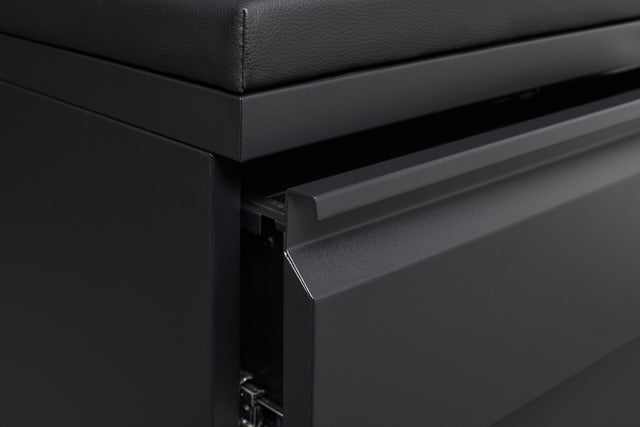 Mobile File Cabinet 2-Drawer Pedestal with Lock for Storage Use for Home Office and Business Enterprise,Legal/Letter Size Black,With 5 Wheels,with Leather cushion