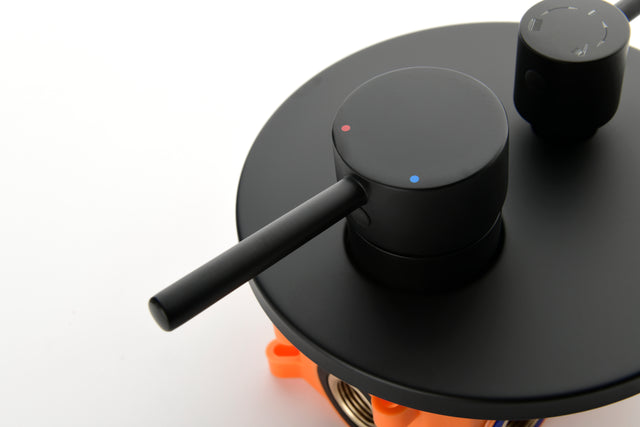 Shower System with Shower Head, Hand Shower, Slide Bar, Bodysprays, Shower Arm, Hose, Valve Trim, and Lever Handles