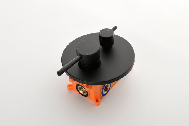 Shower System with Shower Head, Hand Shower, Slide Bar, Bodysprays, Shower Arm, Hose, Valve Trim, and Lever Handles