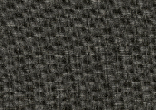 Gray Fabric Upholstered 1pc Day Bed with Pull-out Trundle Nailhead Trim Wood Frame Furniture