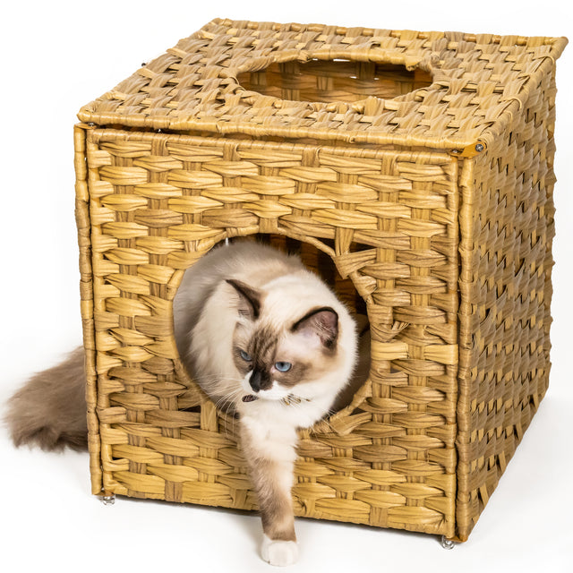 Rattan Cat Litter,Cat Bed with Rattan Ball and Cushion,yellowish brown