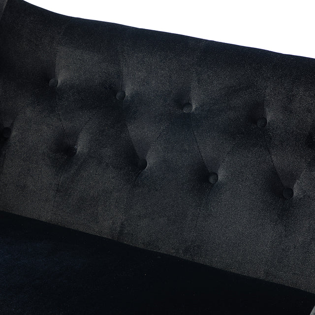 Pheneos 50" Loveseat with Tufted Wingback and Metal Legs