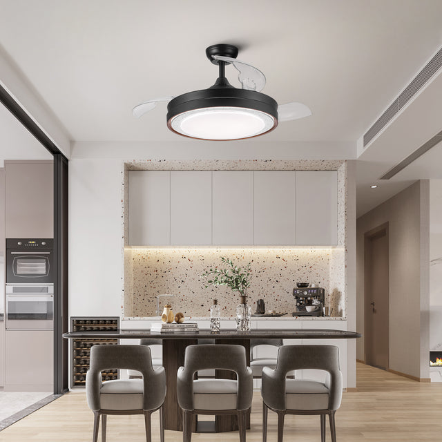42 In. Intergrated LED Retractable Ceiling Fan with Black Shade Frame