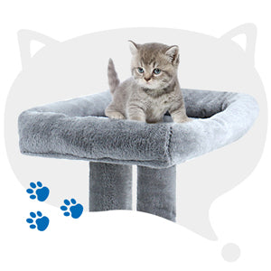 Cat Tree with Platform and Scratching Posts , Cat Tower for Indoor Cats